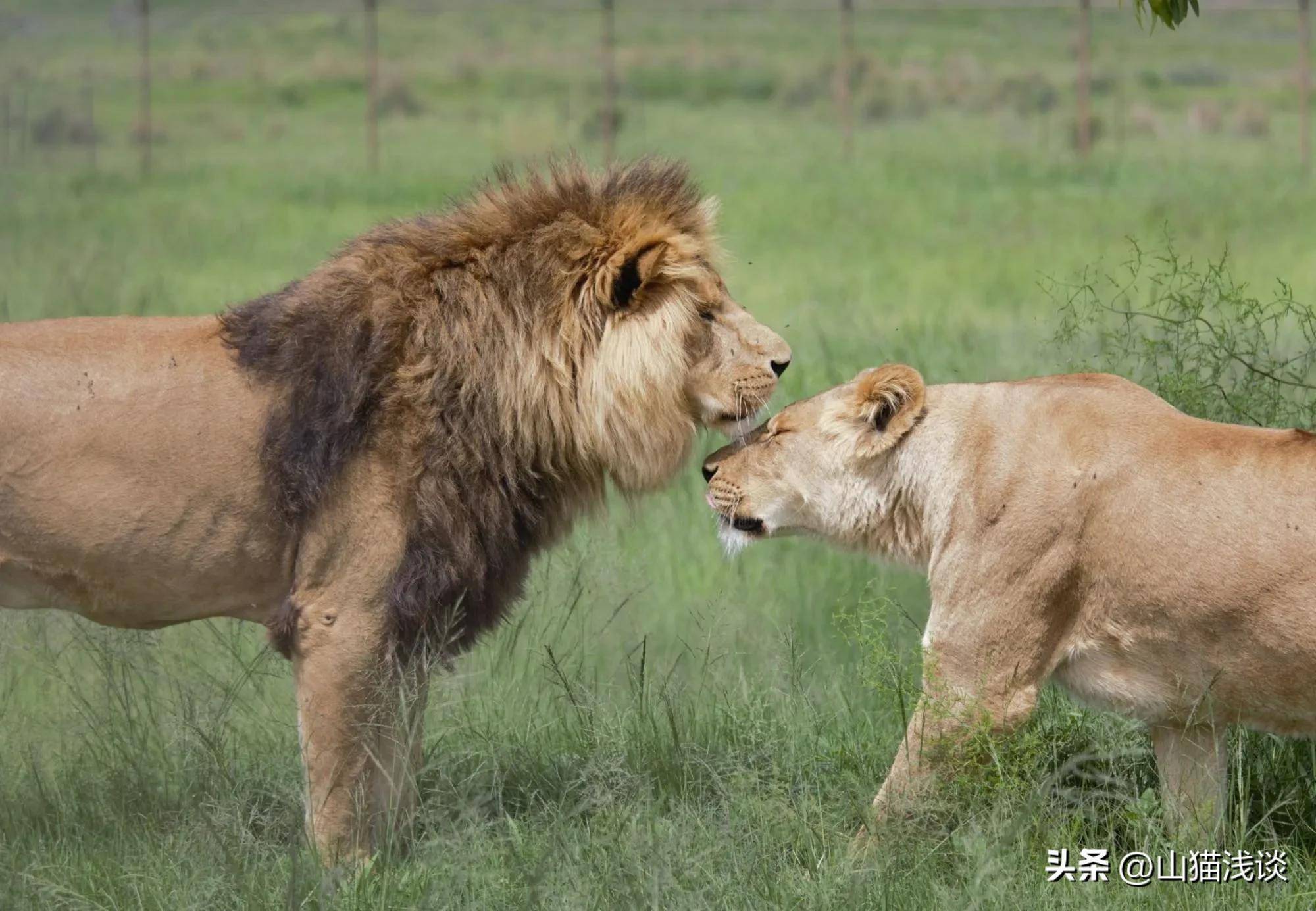 cc424054bbda42639a1ba61468c5a8b6